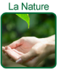 Cosmecology - La nature